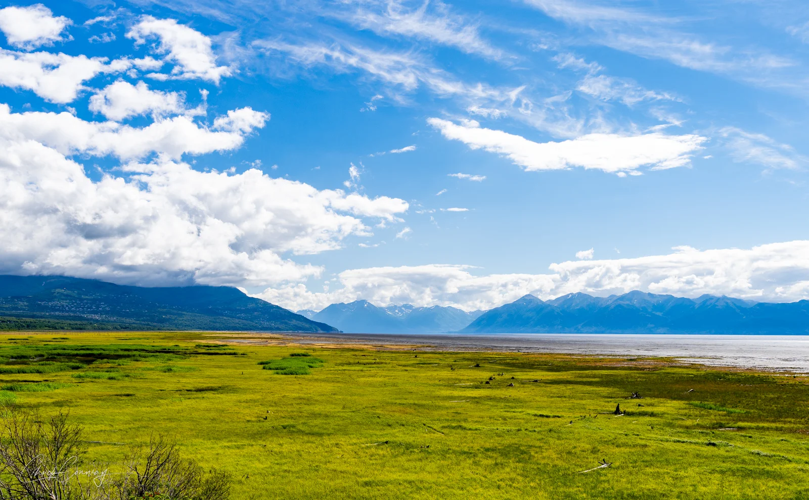 Carr Gottstein Park 1